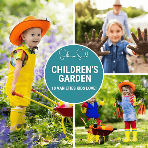 Kids Garden Seed Collection 10 Varieties