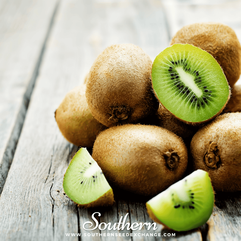 Load image into Gallery viewer, Kiwi Fruit – 100 Seeds
