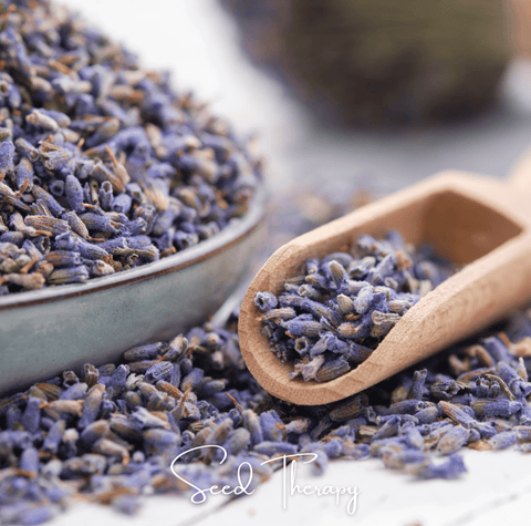 English Lavender – 100 Seeds, additional product view 2