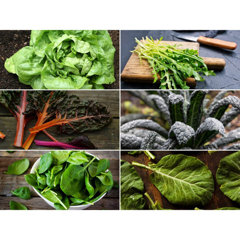 Leafy Greens Seed Collection – 6 Varieties, additional product view 2