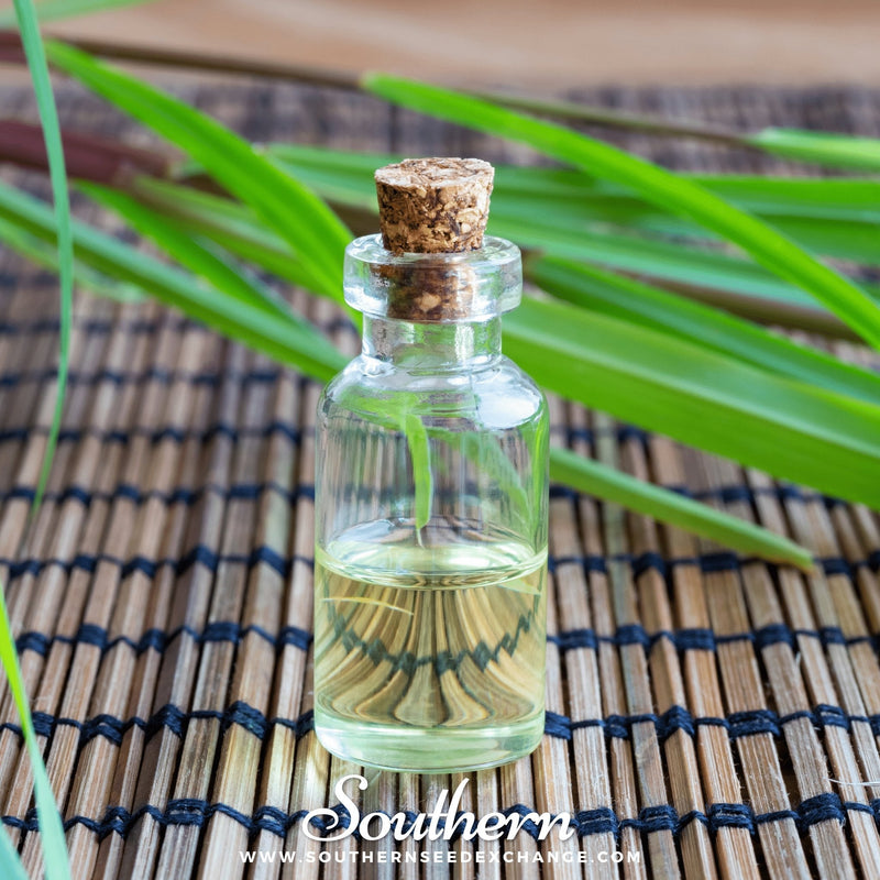 Load image into Gallery viewer, Lemon Grass – 100 Seeds
