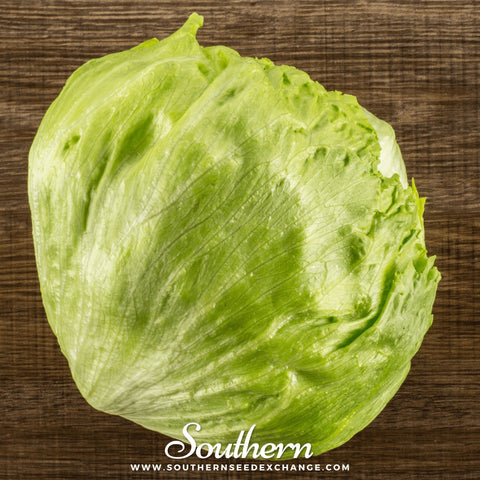 Iceberg Lettuce seeds package, 500 count, GrowTime Garden Supply