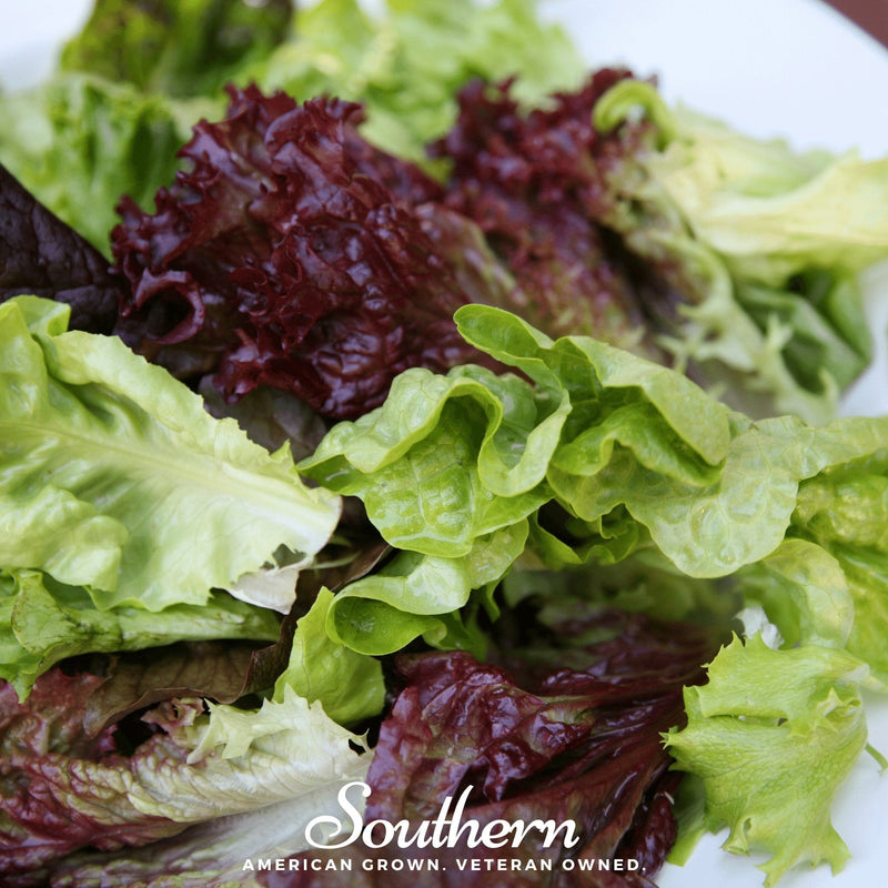 Load image into Gallery viewer, Mesclun Mix Lettuce – 500 Seeds
