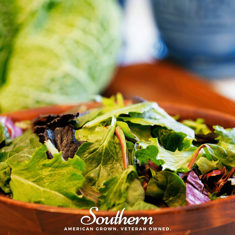 Load image into Gallery viewer, Mesclun Mix Lettuce – 500 Seeds
