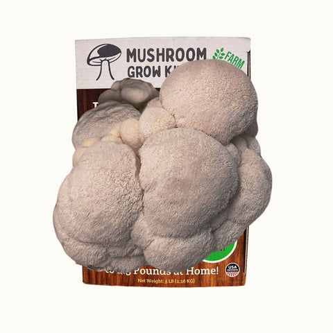 Lion's Mane mushroom growing kit, 5 pounds spray and grow