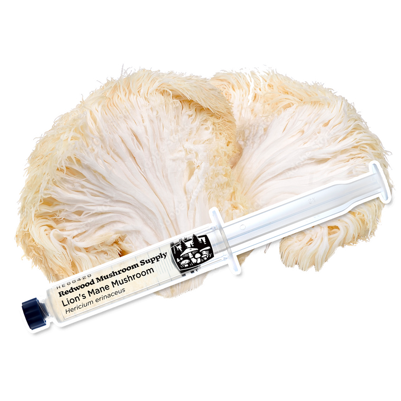 Load image into Gallery viewer, Lion's Mane Mushroom Liquid Culture Syringe
