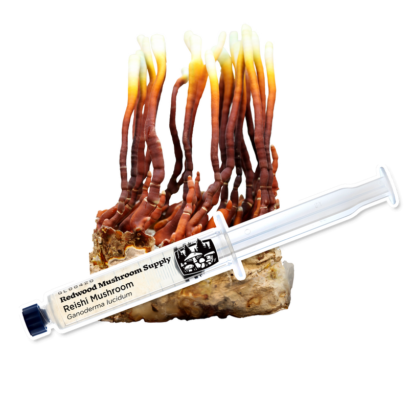 Load image into Gallery viewer, Reishi Mushroom Liquid Culture Syringe
