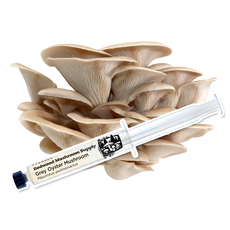 Load image into Gallery viewer, Grey Oyster Mushroom Liquid Culture Syringe
