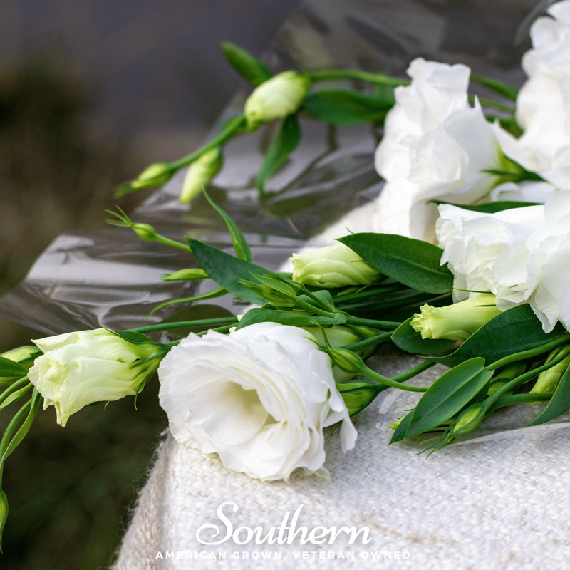 Load image into Gallery viewer, Sapphire White Lisianthus – 25 Seeds
