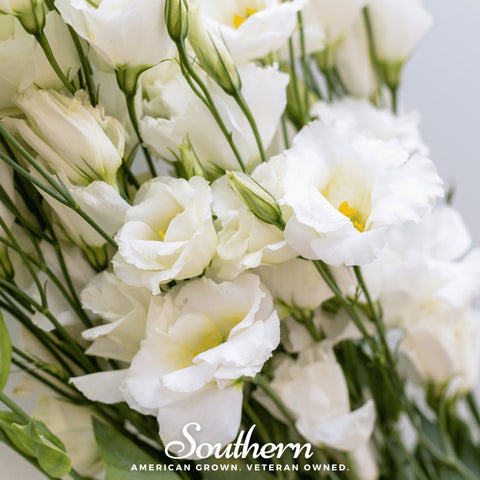 Sapphire White Lisianthus 25 Seeds