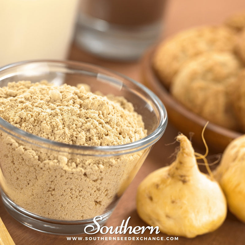 Load image into Gallery viewer, Maca – 25 Seeds
