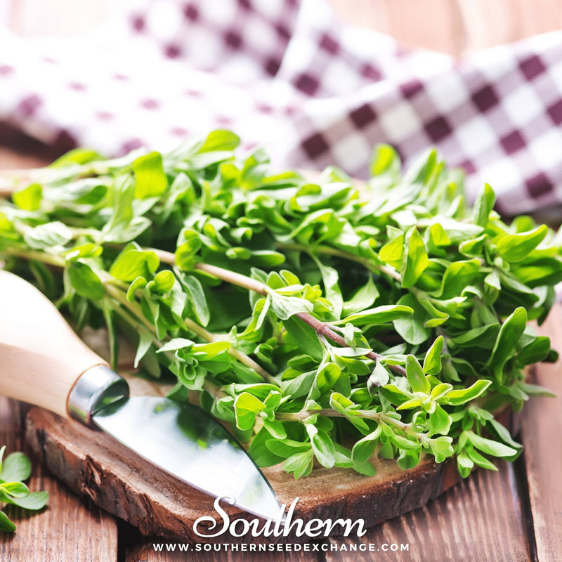 Load image into Gallery viewer, Sweet Marjoram – 100 Seeds
