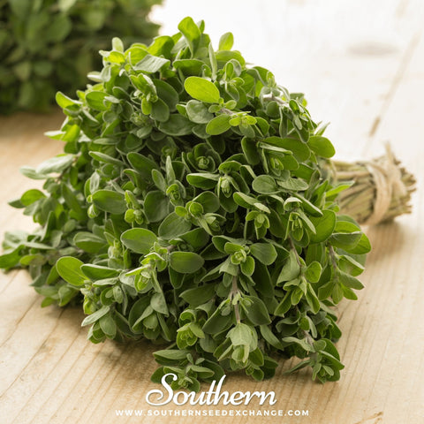 Sweet Marjoram – 100 Seeds, additional product view 2