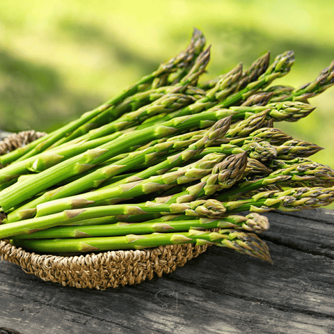 Mary Washington Asparagus – 50 Seeds, additional product view 2