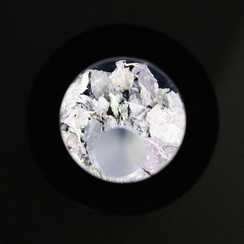 Load image into Gallery viewer, Mason Brite 3.0 Magnifying LED Light Lid Kit
