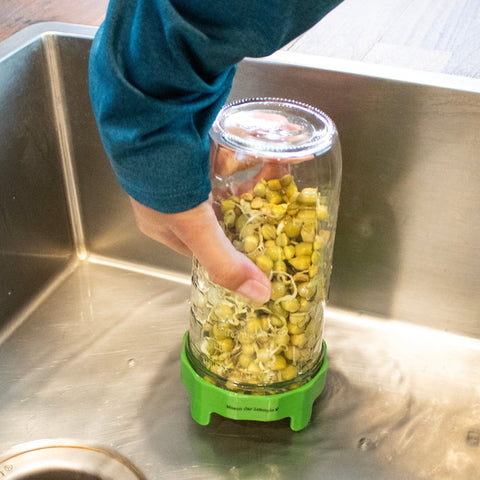 Sprouting lid, stand detail