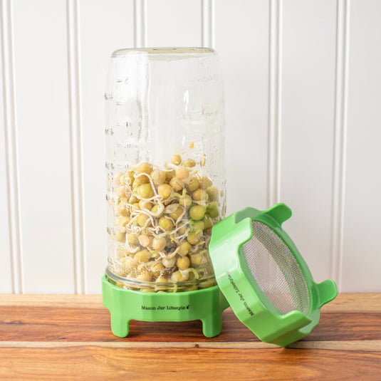 Rust Proof Sprouting Lid with Built-In Stand for Wide Mouth Mason Jars