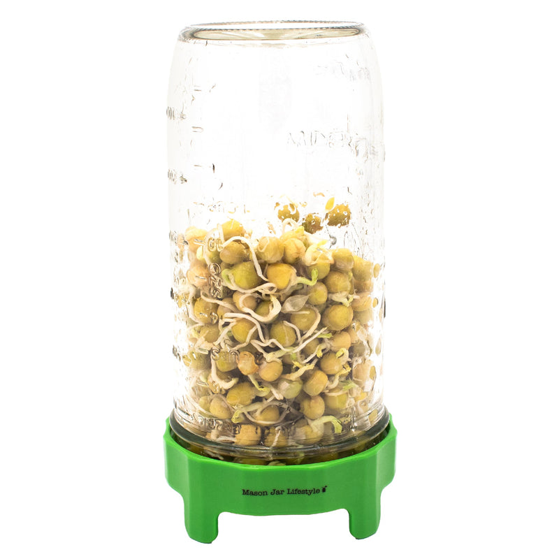 Load image into Gallery viewer, Rust Proof Sprouting Lid with Built-In Stand for Wide Mouth Mason Jars
