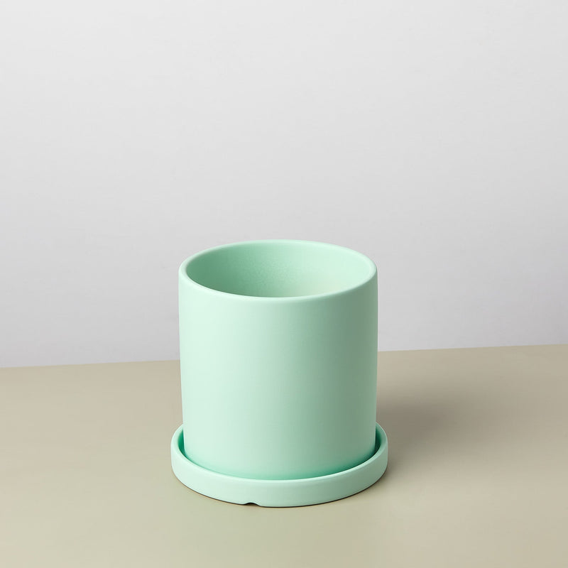 Load image into Gallery viewer, Matte Finish Cylinder Planter with Saucer
