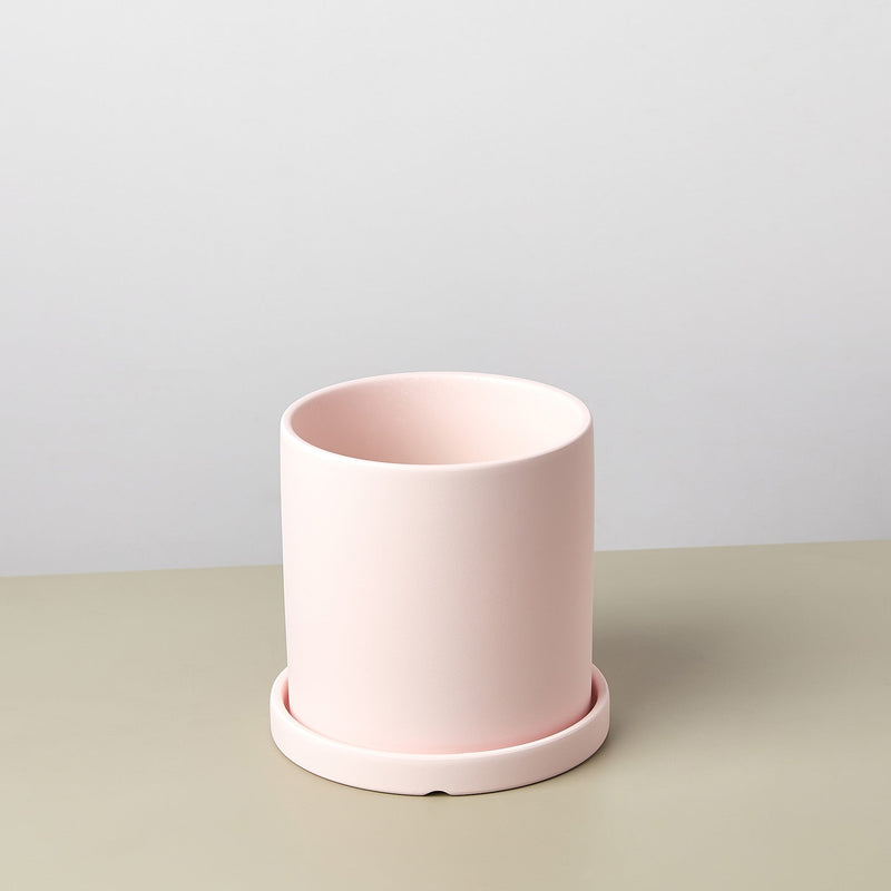 Load image into Gallery viewer, Matte Finish Cylinder Planter with Saucer
