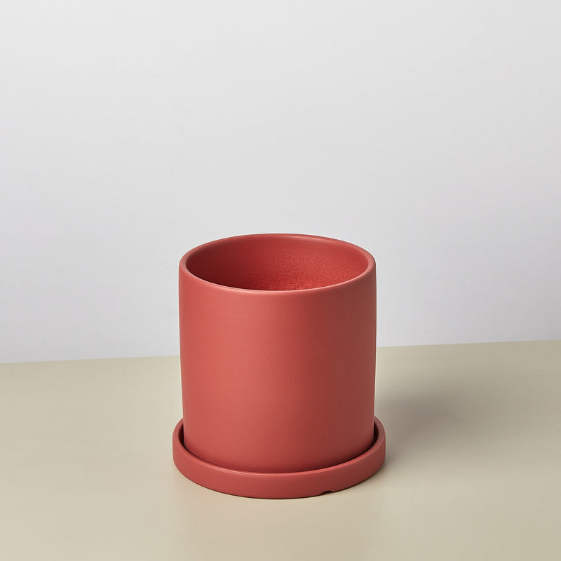 Load image into Gallery viewer, Matte Finish Cylinder Planter with Saucer
