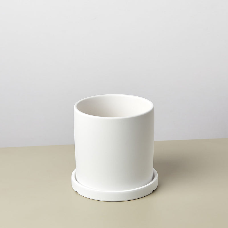 Load image into Gallery viewer, Matte Finish Cylinder Planter with Saucer
