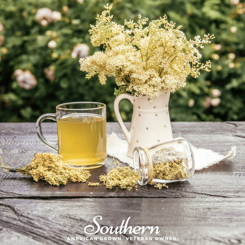 Meadowsweet 50 Seeds