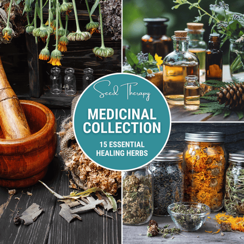 Medicinal Herb Seed Collection package, 15 varieties, GrowTime Garden Supply