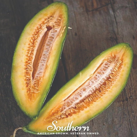 Banana Melon – 20 Seeds, additional product view 2