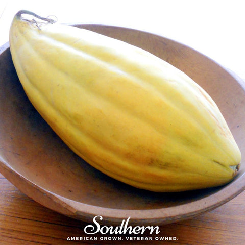 Banana Melon 20 Seeds