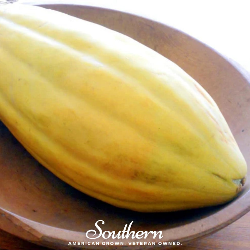 Load image into Gallery viewer, Banana Melon – 20 Seeds
