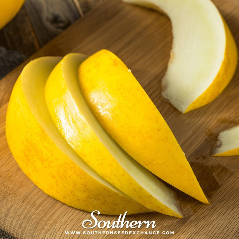 Load image into Gallery viewer, Canary Melon – 25 Seeds
