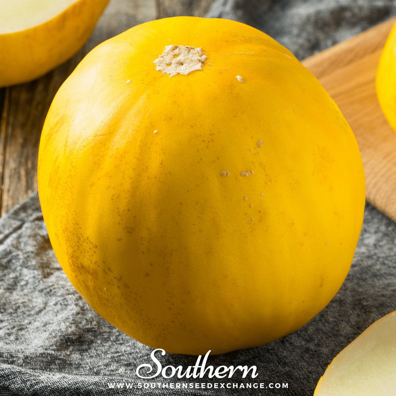 Load image into Gallery viewer, Canary Melon – 25 Seeds
