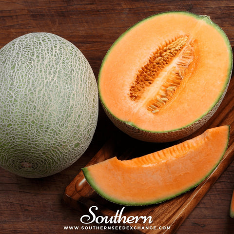 Hales Best Jumbo Cantaloupe seeds package, 50 count, GrowTime Garden Supply