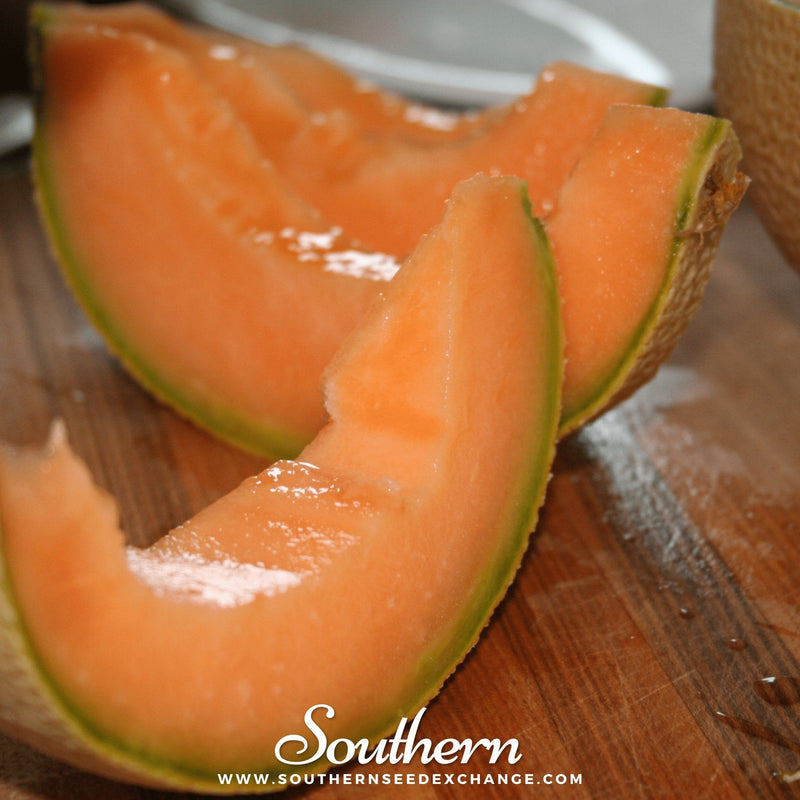 Load image into Gallery viewer, Hales Best Jumbo Cantaloupe – 50 Seeds
