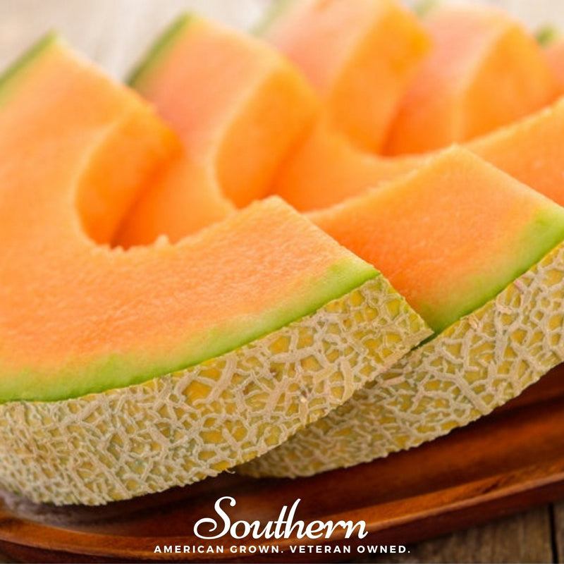 Load image into Gallery viewer, Planter’s Jumbo Melon – 50 Seeds
