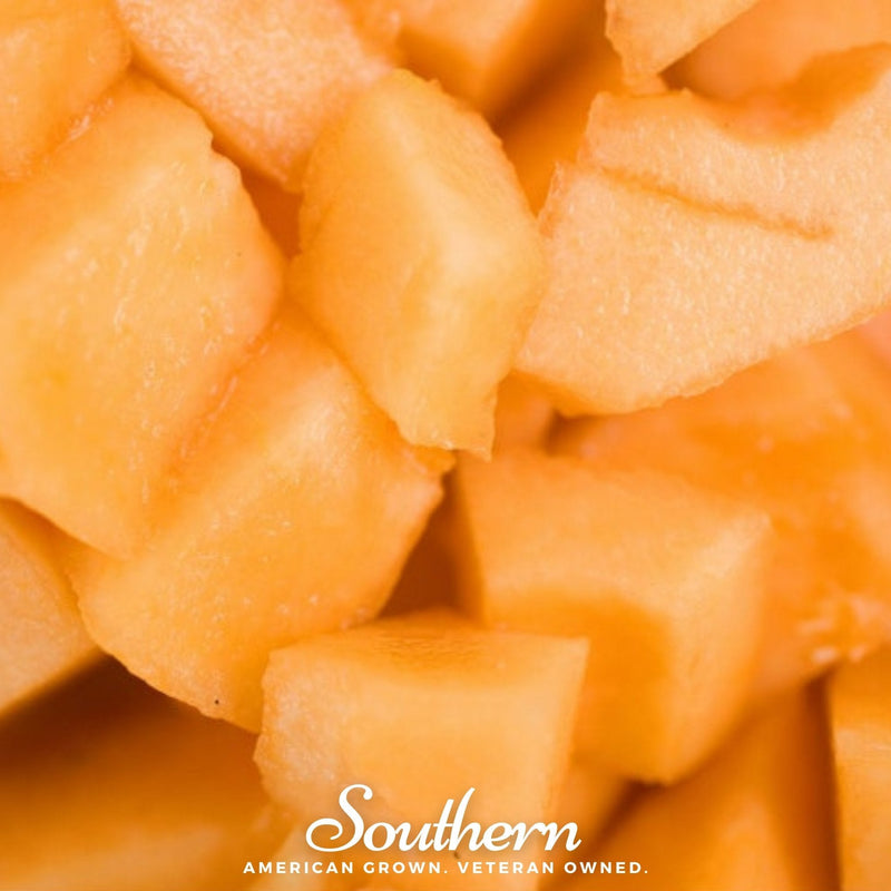 Load image into Gallery viewer, Planter’s Jumbo Melon – 50 Seeds
