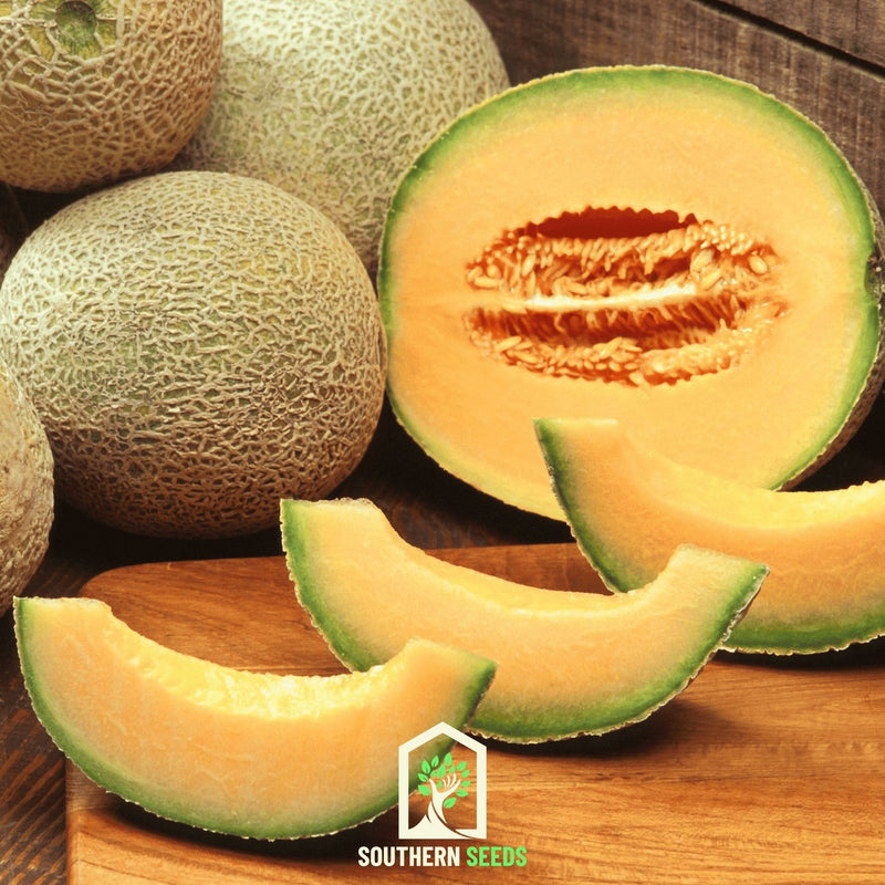 Load image into Gallery viewer, Melon Seed Collection (Watermelon • Cantaloupe • Honeydew)
