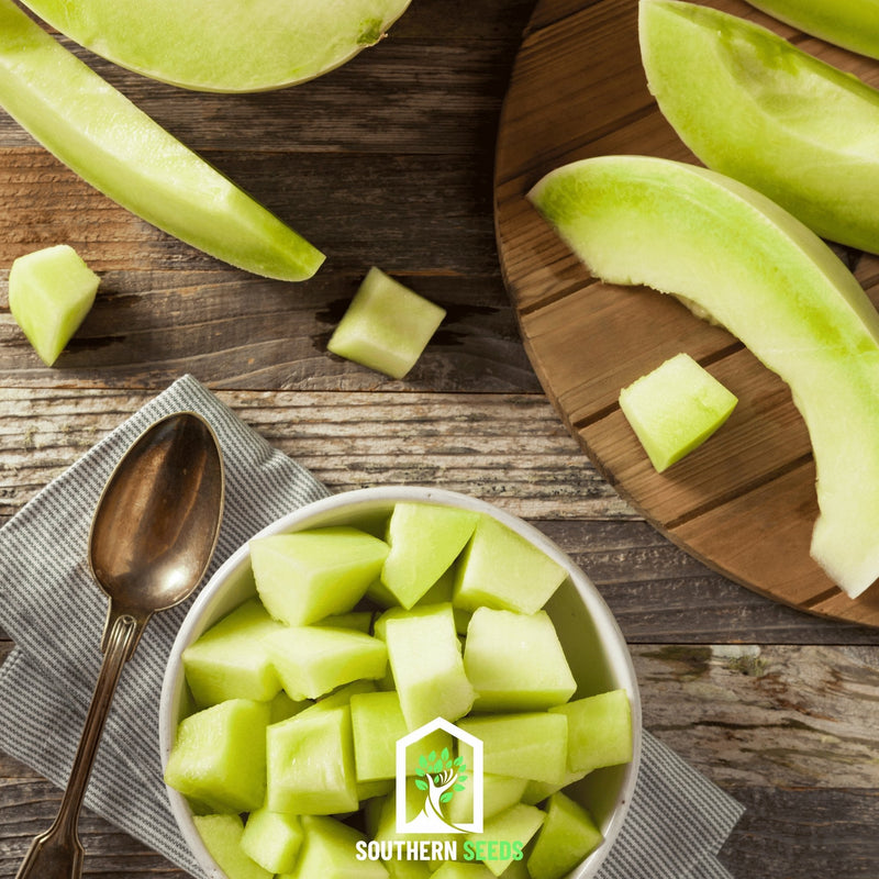 Load image into Gallery viewer, Melon Seed Collection (Watermelon • Cantaloupe • Honeydew)
