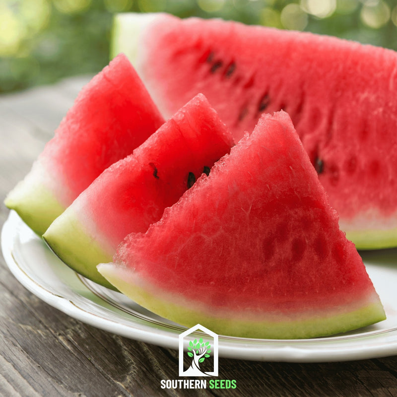 Load image into Gallery viewer, Melon Seed Collection (Watermelon • Cantaloupe • Honeydew)
