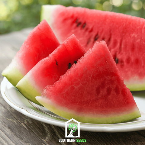 Melon Seed Collection (Watermelon • Cantaloupe • Honeydew), additional product view 2