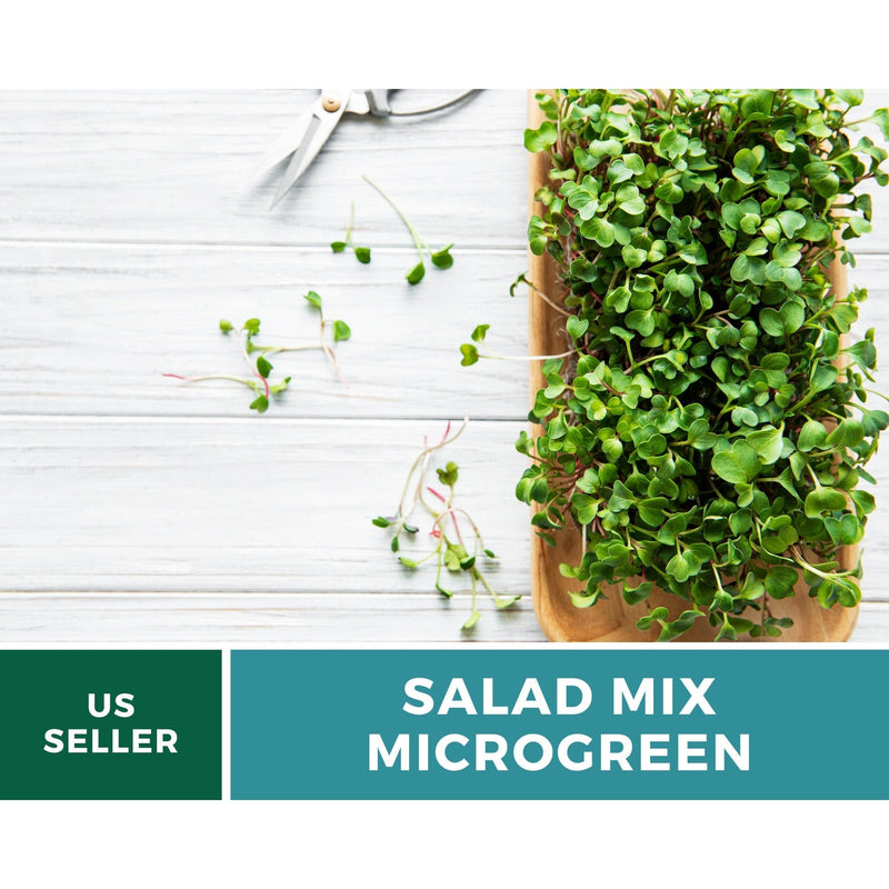 Load image into Gallery viewer, Salad Mix Microgreen – 5 Variety Mix – 8 grams
