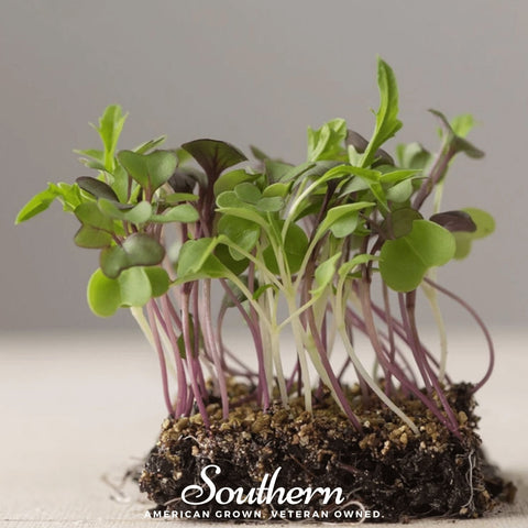 Southern Mild Microgreen mix seeds package, 8 grams, GrowTime Garden Supply