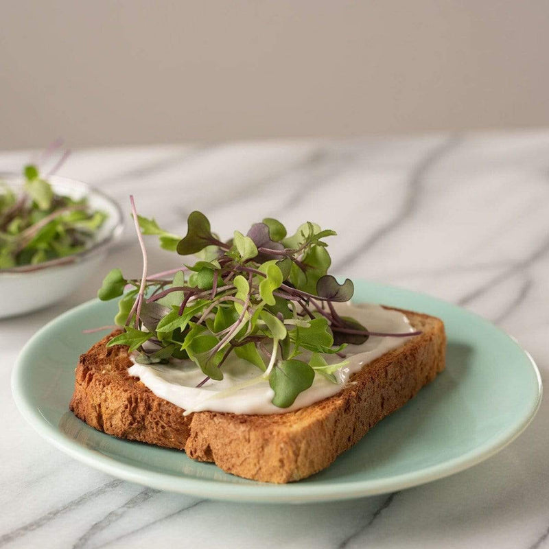 Load image into Gallery viewer, Southern Mild Microgreen Mix – 8 grams
