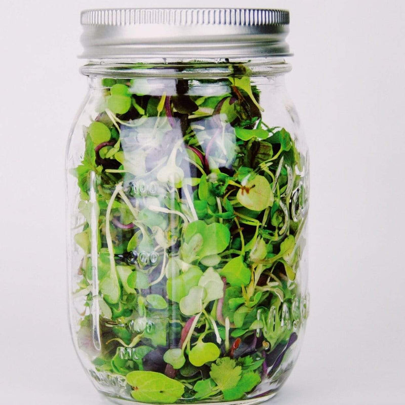Load image into Gallery viewer, Southern Mild Microgreen Mix – 8 grams
