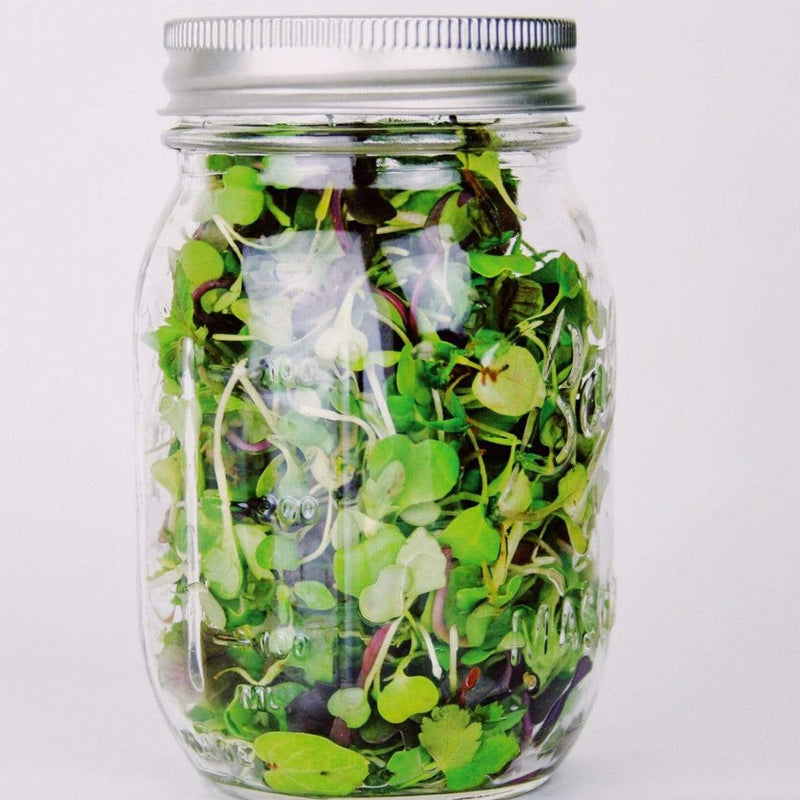 Load image into Gallery viewer, Southern Spice Mix Microgreens – 8 grams
