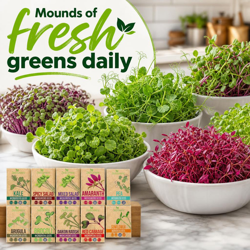 Load image into Gallery viewer, Organic Variety Pack Microgreens Seeds
