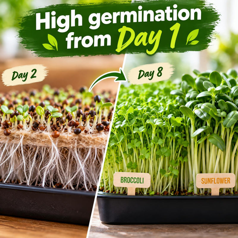 Load image into Gallery viewer, Organic Variety Pack Microgreens Seeds
