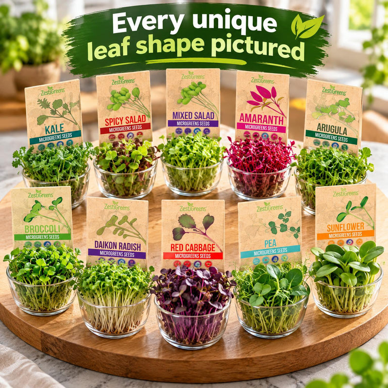 Load image into Gallery viewer, Organic Variety Pack Microgreens Seeds
