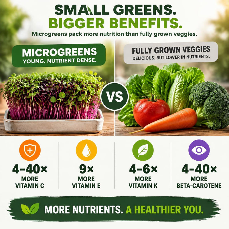 Load image into Gallery viewer, Organic Variety Pack Microgreens Seeds
